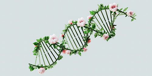 Diagnóstico genético Diagnóstico genético