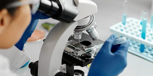 Fecundación in vitro Fecundación in vitro