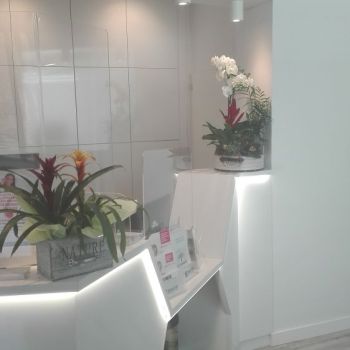 Mostrador de la entrada Mostrador de la entrada