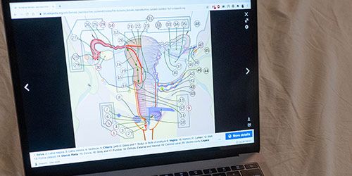 Estudio de infertilidad Estudio de infertilidad